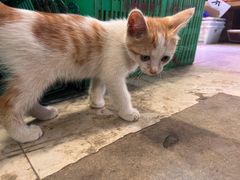 -四川大学(华西校区)