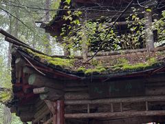 -峡谷浮石林景区