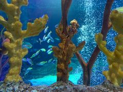 -沈阳海洋探索中心