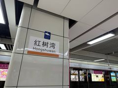 -红树湾(地铁站)