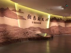 -宁夏博物馆