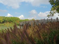 -昆山城市生态森林公园