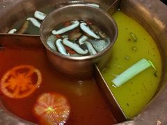 -老诚一锅羊蝎子(黄寺大街店)