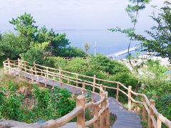 -养马岛旅游度假区