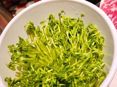 有机豆苗-一哥澳门豆捞·澳门风打边炉(高德置地店)
