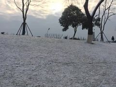 -金陵之星大酒店·中餐厅