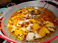 -雲蜀龙阁·金牌水煮鱼(方庄店)