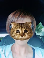 短发-红人馆造型世爵国际