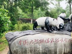 -都江堰中华大熊猫苑