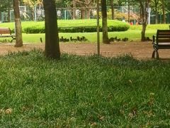 -后襄河公园