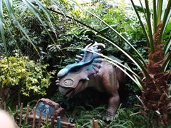 -呀路古热带植物园