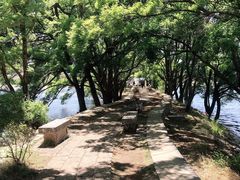 -丽江梵高星空艺术馆(古城区旗舰店)