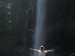 -莫里热带雨林景区