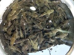 -巢湖名吃·徽府农家菜(半汤店)