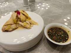 -老绍兴养和饭店(向阳不夜城店)