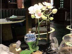 -钟菜·粤菜点心·宴请(海上世界·汇港二期店)