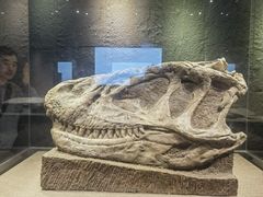 -自贡恐龙博物馆