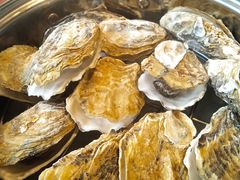 -开心果牛扒城(雍华庭店)