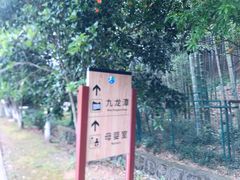 -九龙潭景区