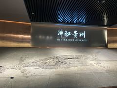-贵州省地质博物馆