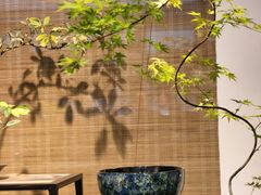 -双季花艺园艺市场(浦东店)