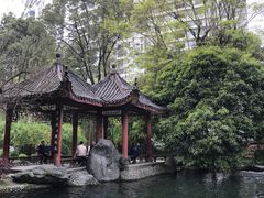 -温江公园