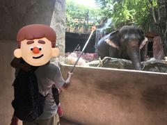 -长鹿旅游休博园