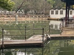 -西园戒幢律寺