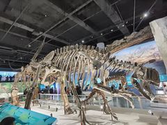 -国家自然博物馆