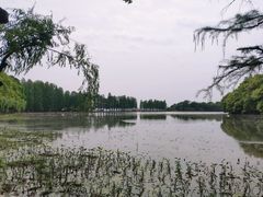 -东湖落雁景区