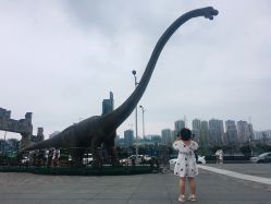 -恐龙探索乐园(磁器口店)