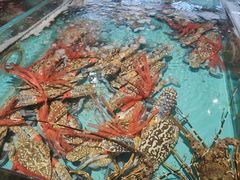 避风塘帝皇蟹-海蓝海鲜馆(五四北店)
