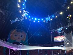 -俄罗斯国家大马戏团