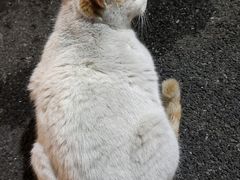 -阿五涮羊肉火锅(安国路一店)