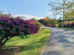 -中国科学院西双版纳热带植物园