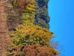 -塔川景区