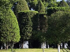 -燕郊植物园