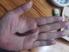 -小厨子私房菜·云南美食店