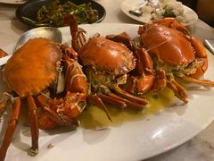 -大树下海鲜饭店
