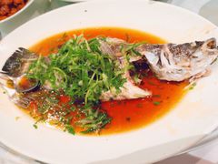 -金唐海鲜酒家