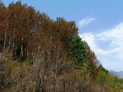 -玉渡山自然风景区