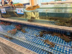 -骏莱海鲜鱼港(五角场店)