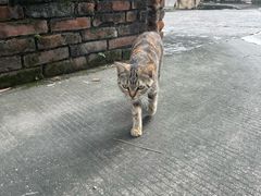 -广州市紫泥堂文化创意园景区