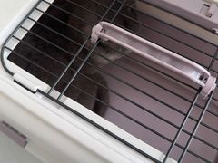 -艾吉宠物医院·疑难杂症转诊中心·猫友好(碧江路院)