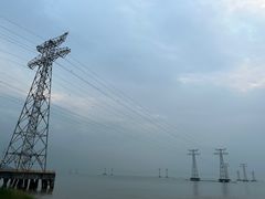 -宝安西湾红树林湿地公园