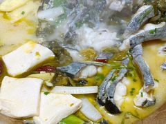 蒸汽石锅鱼-云中鱼蒸汽石锅鱼(浦东食品城店)