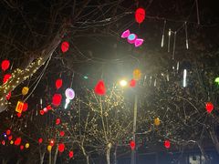 -蜀九香火锅(玉林店)
