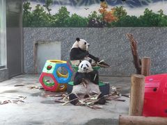 -西安秦岭野生动物园