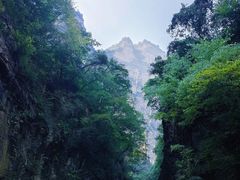 -云台山风景名胜区