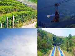 -长沙黑麋峰国家森林公园